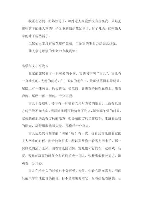 小学作文：写物.docx
