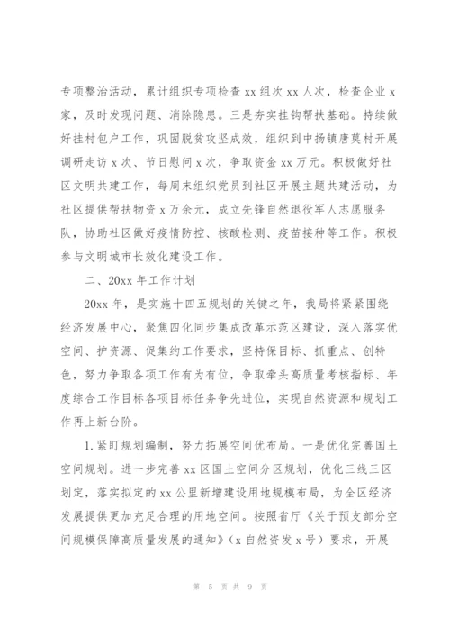 市自然资源分局年度工作总结和2022年工作计划.docx