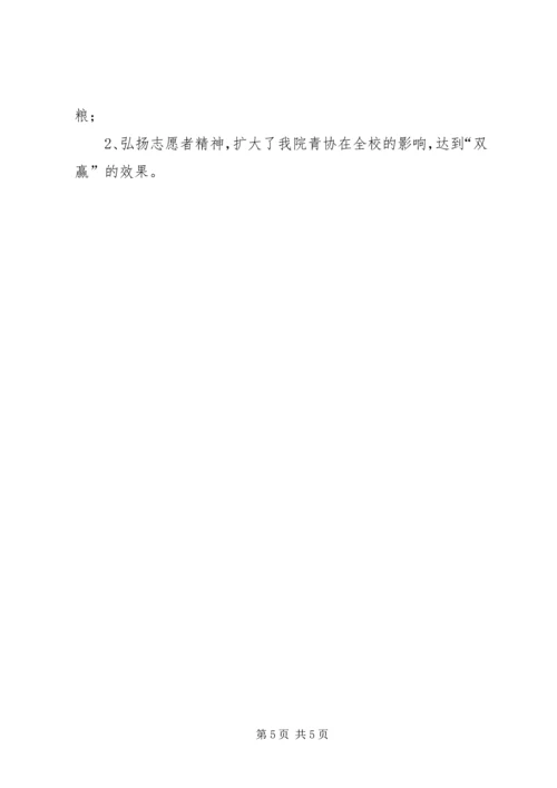 青年志愿者活动方案 (9).docx