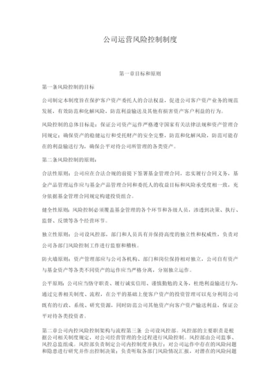 公司运营风险控制制度.docx