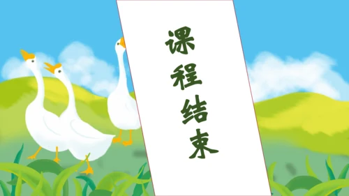 【核心素养】部编版语文四年级下册-15.白鹅 第1课时（课件）
