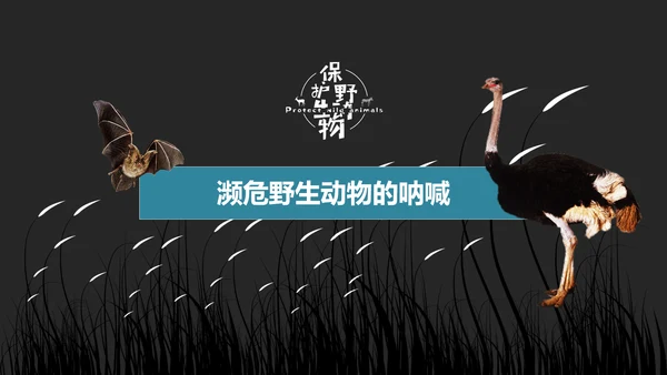 保护野生动物老虎PPT模板