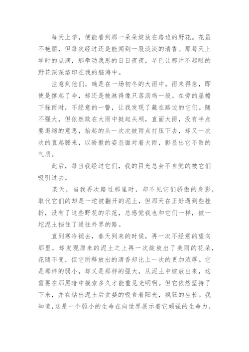 追求理想的议论文编辑精选.docx
