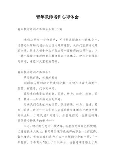 青年教师培训心得体会.docx