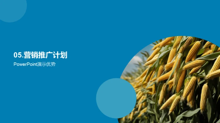 商务风农林牧渔营销策划PPT模板
