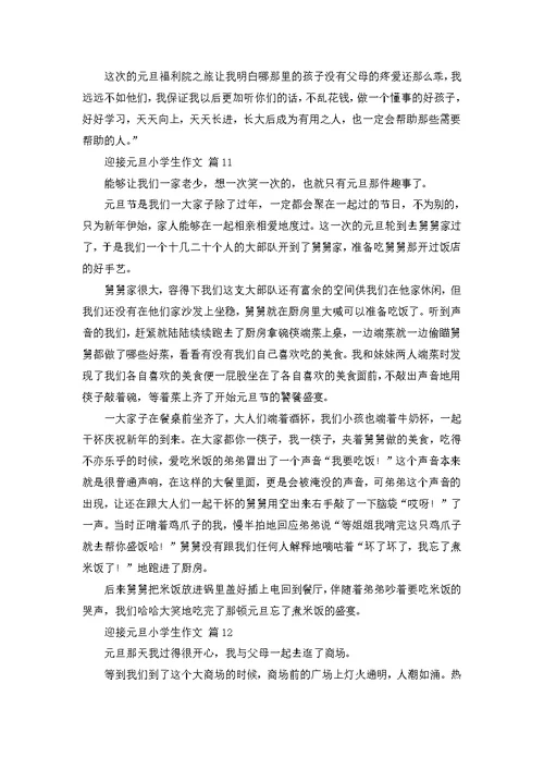 迎接元旦小学生作文（28篇）