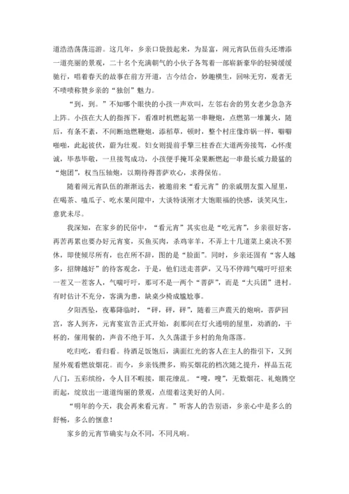 莆田春节作文锦集10篇.docx
