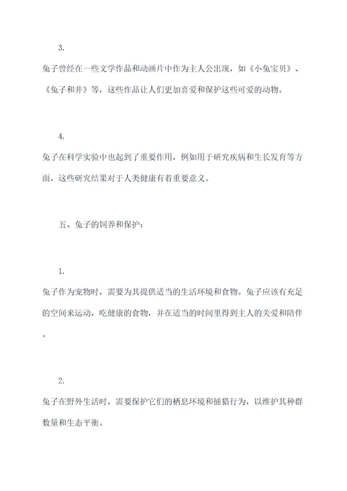 兔子趣味知识点总结