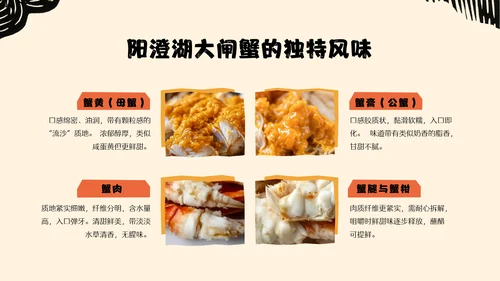黄橙色手绘中国美食阳澄湖大闸蟹介绍PPT模板
