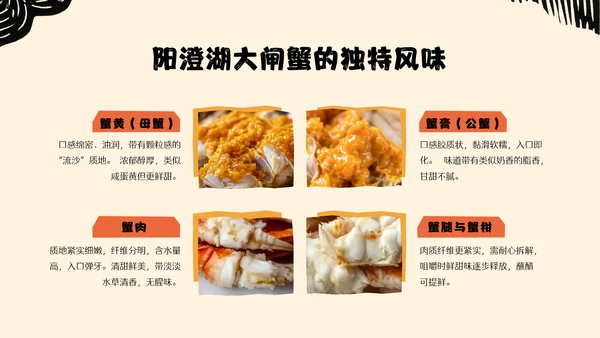 黄橙色手绘中国美食阳澄湖大闸蟹介绍PPT模板