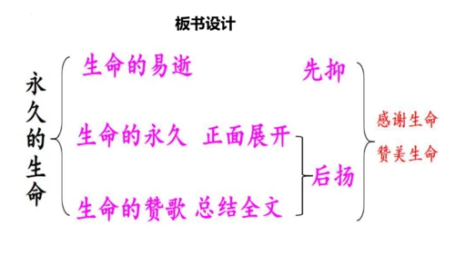第16课《散文二篇——永久的生命》课件