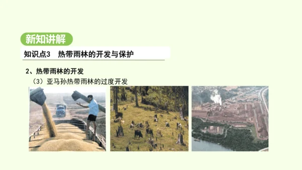 10.2.2 热带雨林的开发与保护（课件31张）-2024-2025学年七年级地理下学期人教版(20