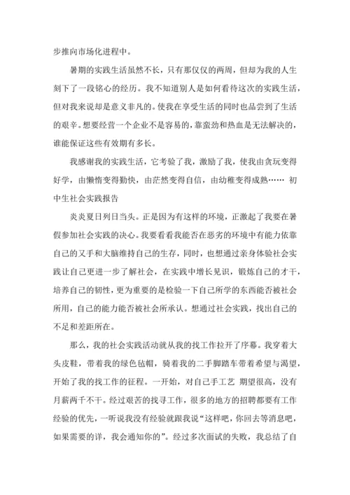 初中社会实践心得体会.docx