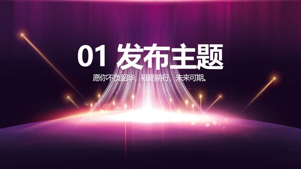 紫色公司品牌发布会策划方案工作总结PPT