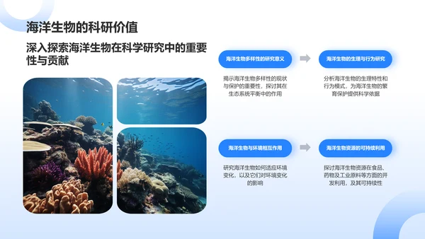 蓝色摄影风海洋生物知识科普PPT模板