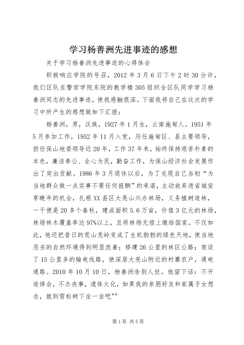 学习杨善洲先进事迹的感想.docx