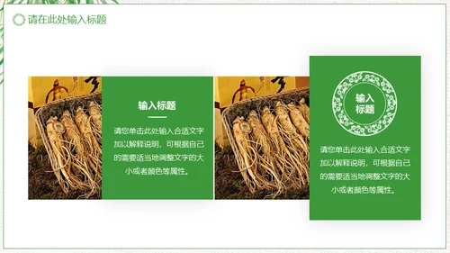 中草药中药人参通用PPT模板