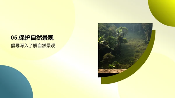 自然景观的奥秘