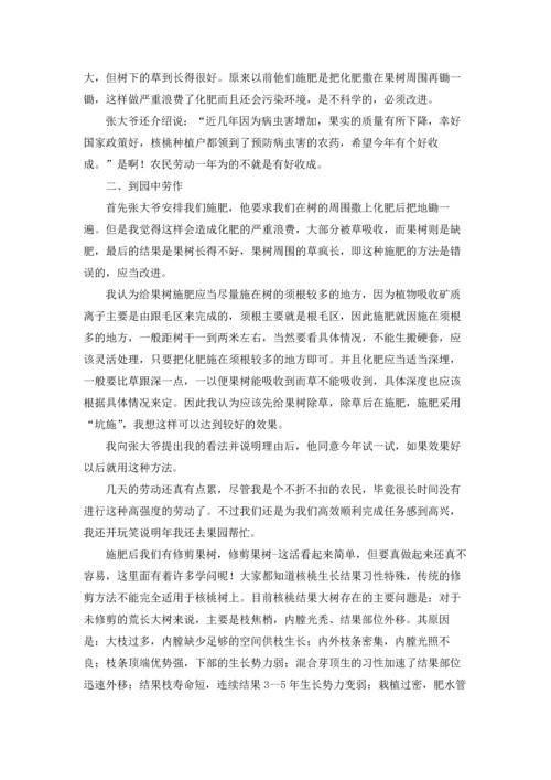 有关学生的实习报告合集五篇.docx