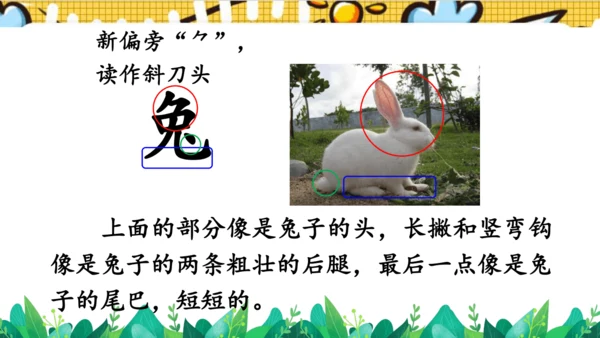 【新教材】部编版语文一年级上册 8.比尾巴  名师课件（2课时）