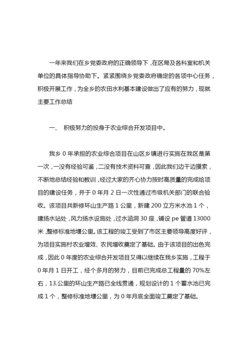 乡镇水利工作总结.docx