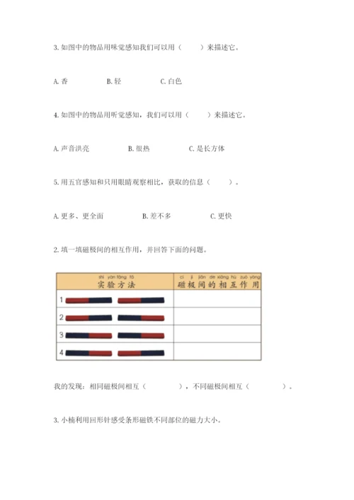 教科版小学科学二年级下册期末测试卷【黄金题型】.docx