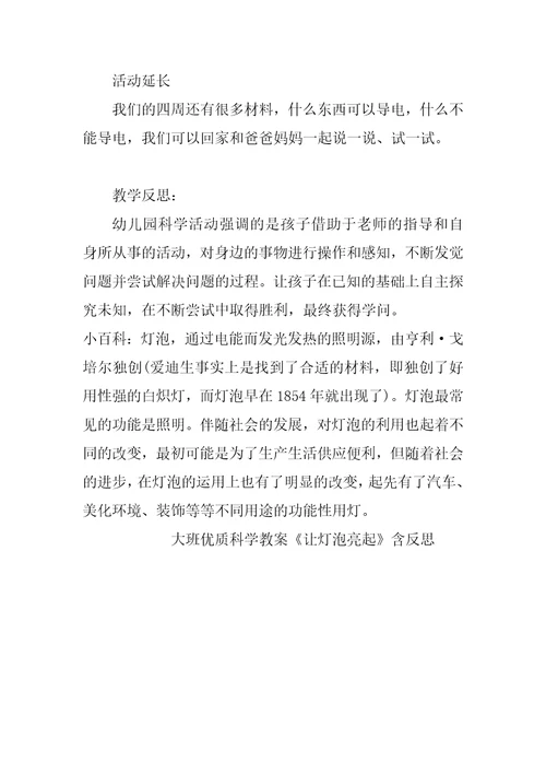 幼儿园大班优质科学教案《让灯泡亮起》含反思