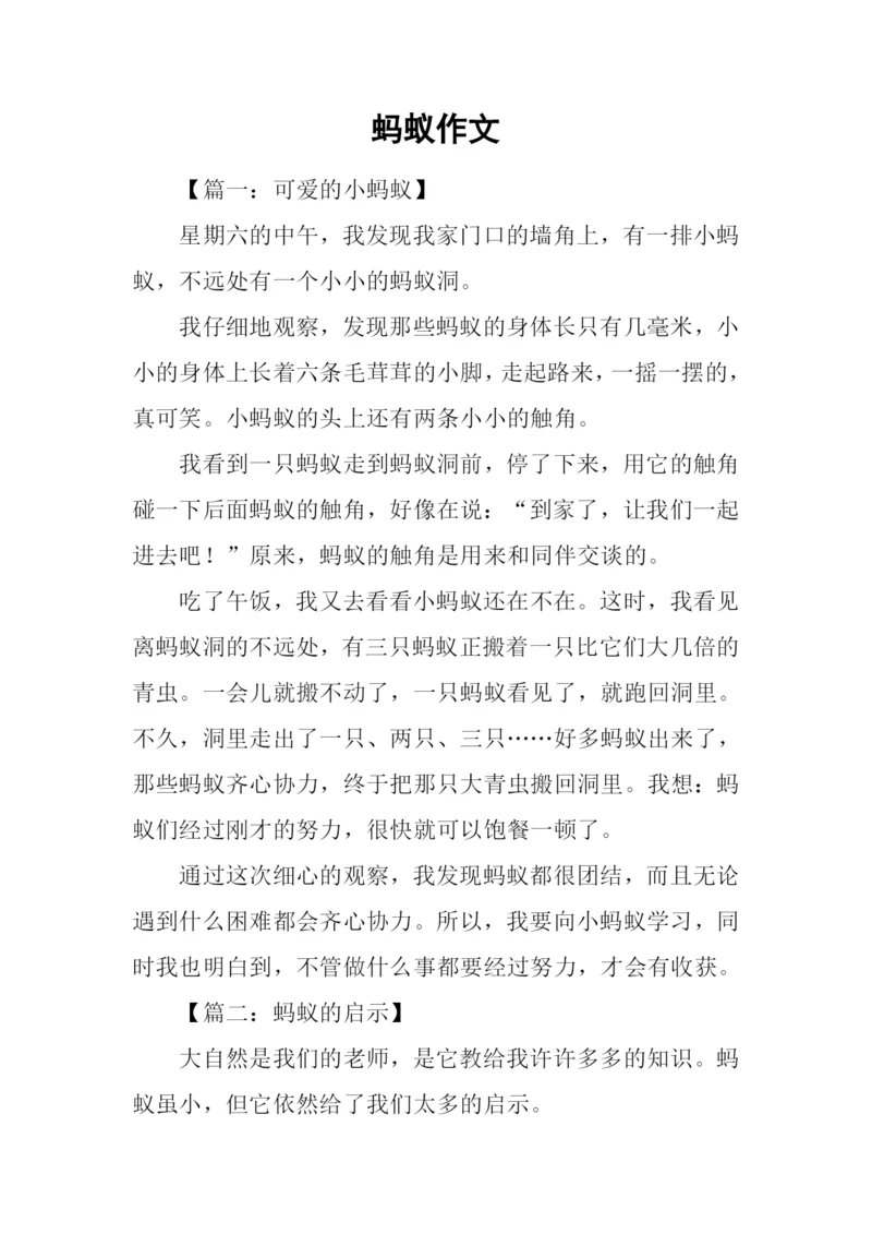 蚂蚁作文-10.docx