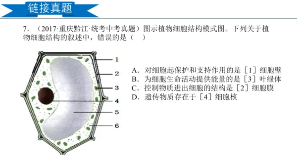 2.1.2 植物细胞（同步课件）-2023-2024学年七年级生物上册同步精品课堂（人教版）(共28