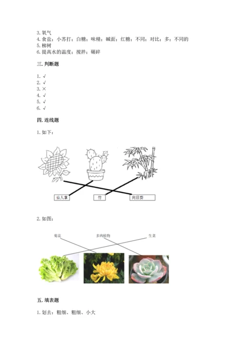 教科版科学一年级上册第一单元《植物》测试卷精品【基础题】.docx