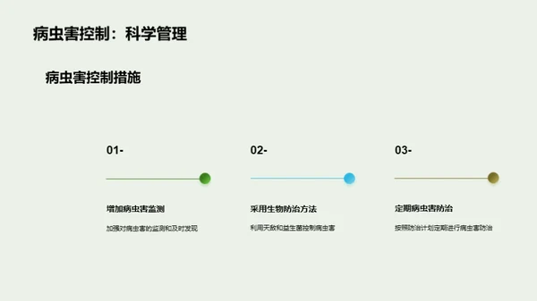 玉米种植：全面优化策略