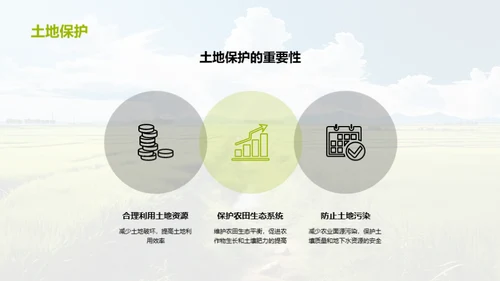 可持续农业发展与环境保护