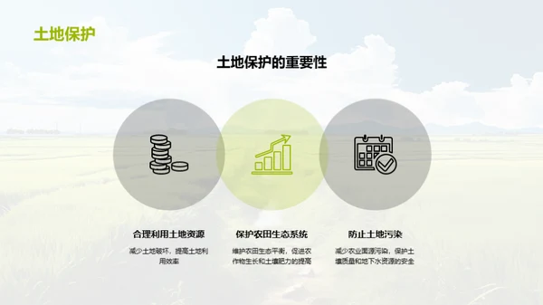 可持续农业发展与环境保护