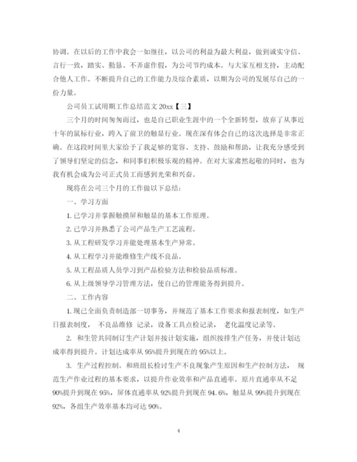 精编之公司员工试用期工作总结范文2.docx