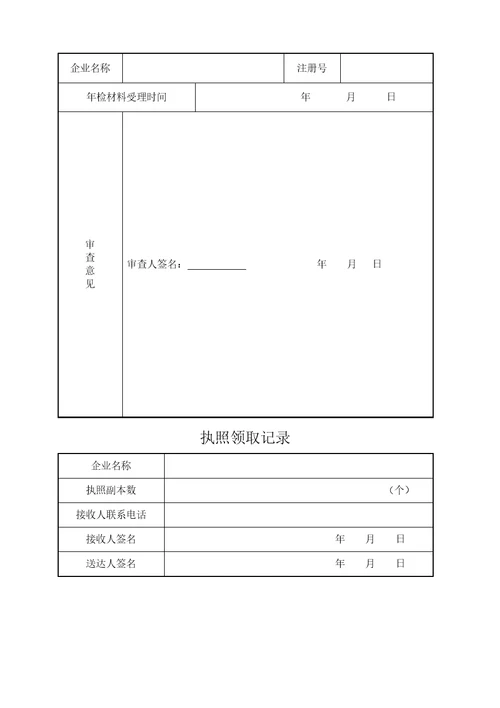 企业分支机构其它经营单位年检报告书