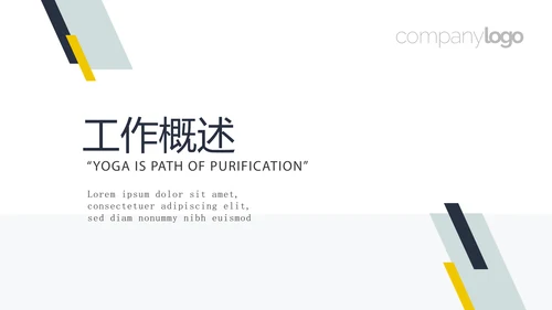 药品稽查工作总结动态PPT