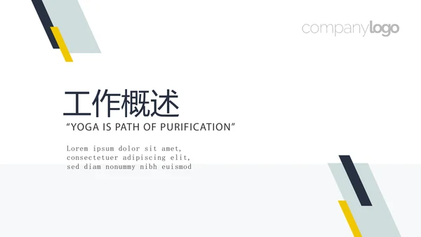 药品稽查工作总结动态PPT