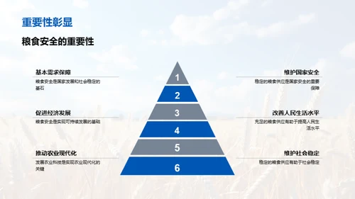 农科技与粮食安全