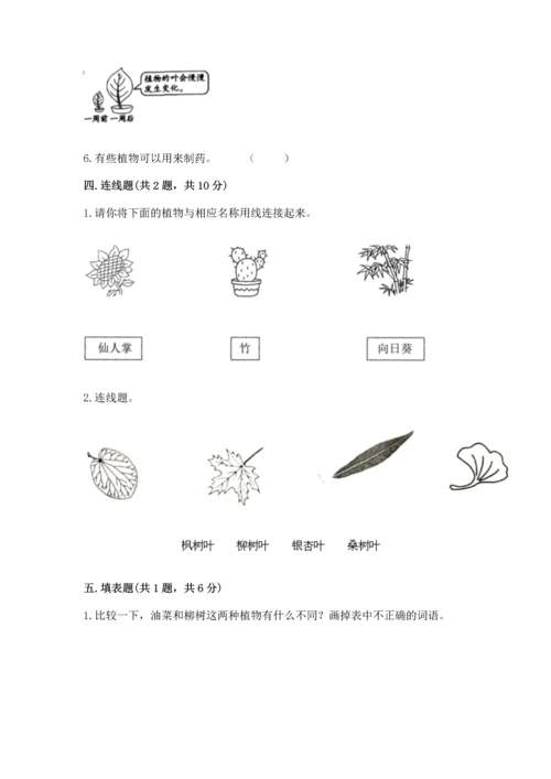 教科版科学一年级上册第一单元《植物》测试卷及参考答案（达标题）.docx