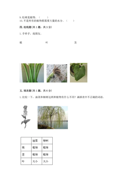 教科版一年级上册科学期末测试卷及一套答案.docx