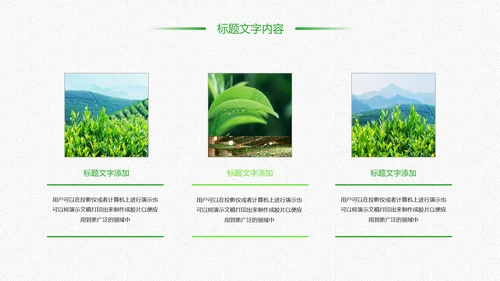 绿色唯美清新茶园文化茶艺品茶论道PPT模板