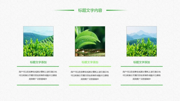 绿色唯美清新茶园文化茶艺品茶论道PPT模板
