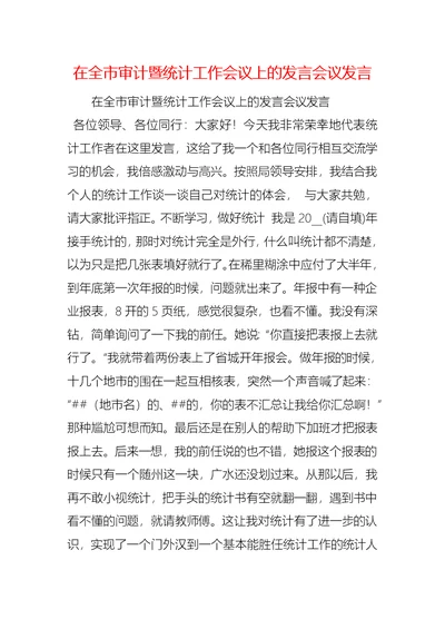 在全市审计暨统计工作会议上的发言会议发言