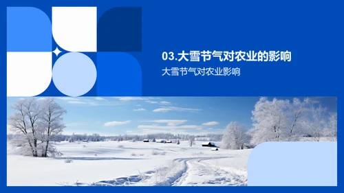 深度解析大雪节气