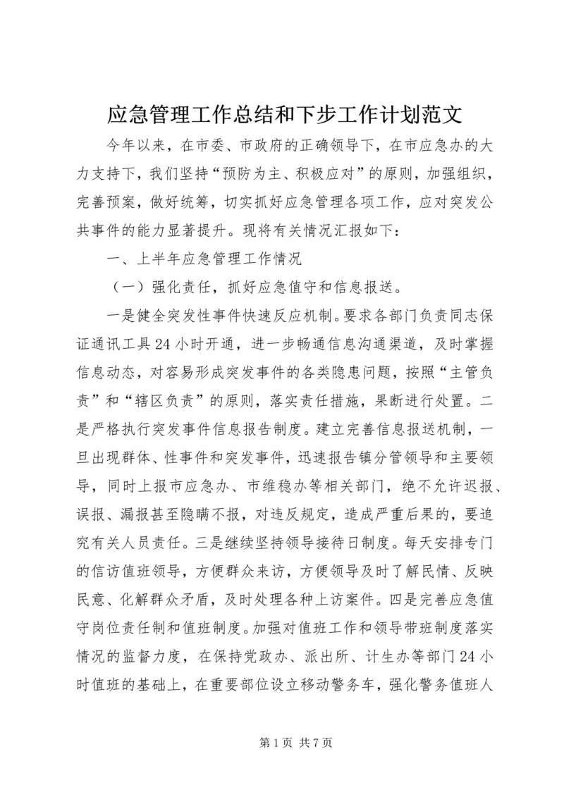 应急管理工作总结和下步工作计划范文.docx
