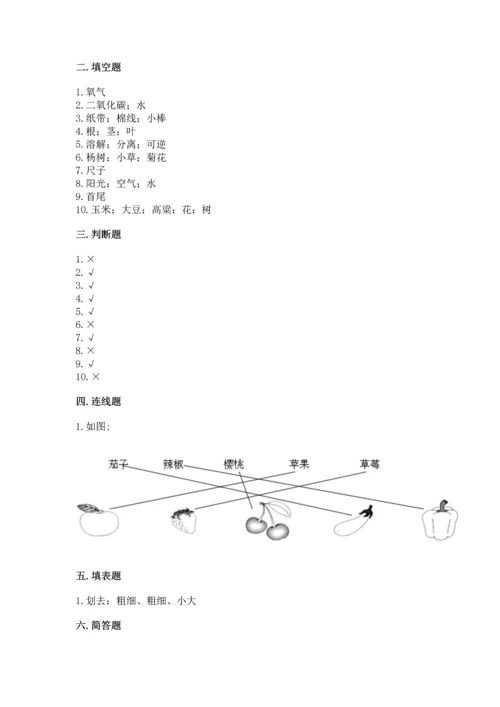 教科版科学一年级上册期末测试卷及答案参考.docx