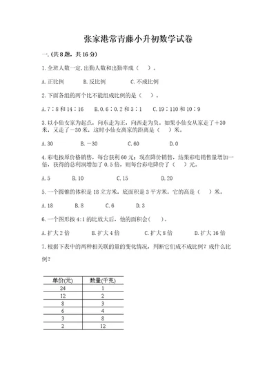 张家港常青藤小升初数学试卷考点精练