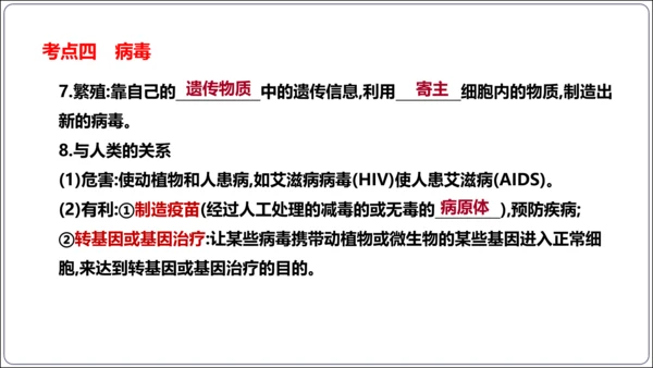 【人教八上生物期中复习考点梳理+临考押题】第四、五章 细菌、真菌和病毒（串讲课件）(共30张PPT)