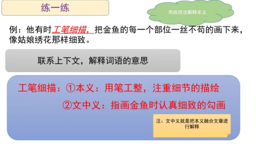 部编版语文五年级阅读理解期中重点知识复习讲解   课件