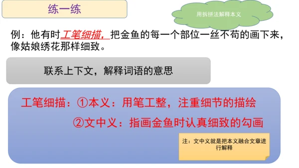 部编版语文五年级阅读理解期中重点知识复习讲解   课件